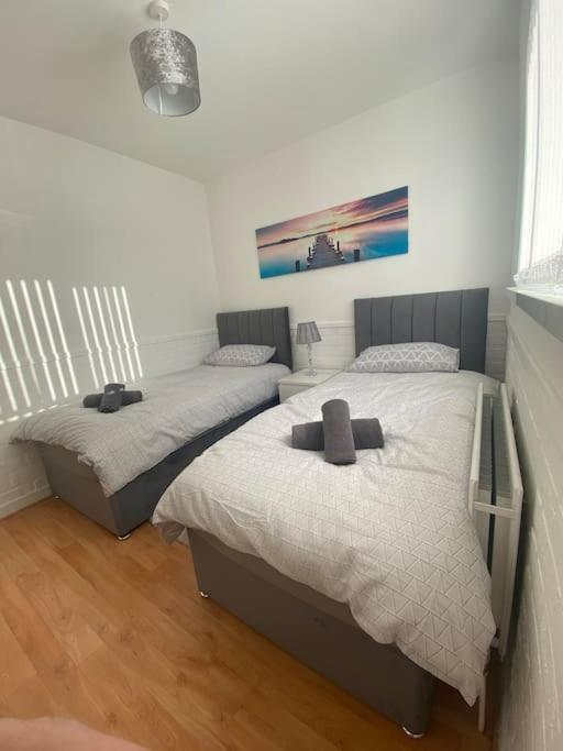 Modern Two Bed House Close To City Centre Belfast Exterior foto